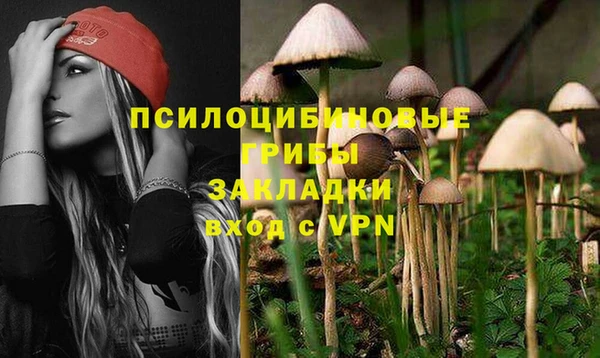 прущие крисы Богородск